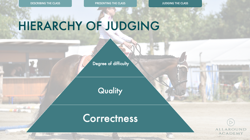 Webinar "Trail: What does the judge wants to see?"